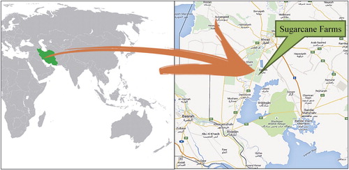 Figure 2. Site of the sugarcane farm in Khuzestan state of Iran.