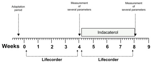 Figure 1 Study design.