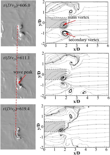 Figure 13. Water surface and streamlines of the counterrotating pair (tvD/D = 606.0, 611.1, 619.4).