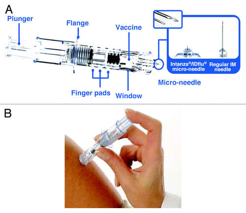 Figure 1. The Intanza 9 μg system. (A) Features of the Intanza 9 μg system. The enlarged area shows images of the microinjection needle and a regular IM needle. (B) ID injection with the Intanza 9 μg system.
