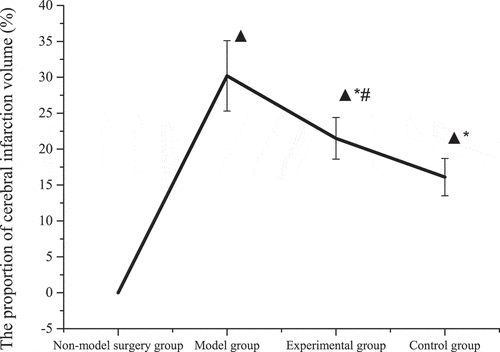 Figure 4. Proportion of cerebral infarction volume.