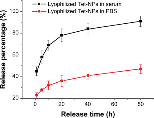 Figure S1 Release curves of lyophilized Tet-NPs in PBS and serum.Abbreviations: Tet-NPs, tetrandrine-loaded poly(N-vinylpyrrolidone)-block-poly(ε-caprolactone) nanoparticles; PBS, phosphate buffered saline; h, hours.