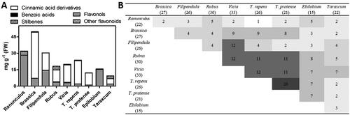 Figure 1. A) Distribution of detected phenolics in different phenolic groups (mg g−1 FW) and B) total number of individual compounds and number of identical compound levels in the pollen pellets of different botanical origins.