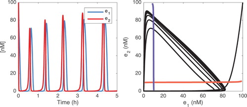 Figure 3. Left: Time evolution of e1 and e2 when parameters are chosen as in Table 1. Right: Trajectories in the plane e1– e2 (black) and equilibrium conditions (red and blue).