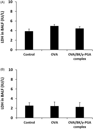 Figure 7. LDH level in the BALF after pulmonary administration of 5% glucose, OVA and the OVA/BK/γ-PGA complex. Five percent glucose solution, OVA and the OVA/BK/γ-PGA complex were administered to mice. Three and twenty-four hours after administration (A and B, respectively), BALF was taken from the mice and LDH activity in the BALF was determined. Each value represents the mean ± S.E. (n = 4).