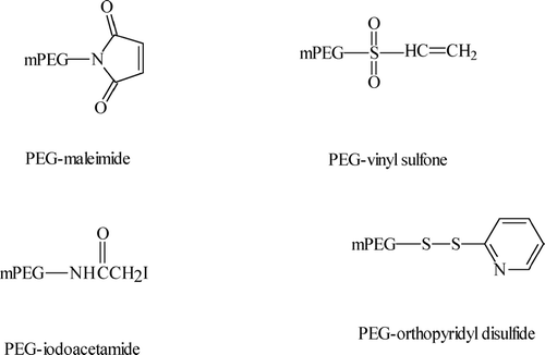 FIG. 3 Second-generation irreversible PEG reactive forms (Roberts et al. Citation2002).