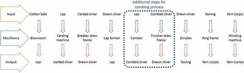 Figure 2. Process sequences for carded and combed yarn manufacturing.