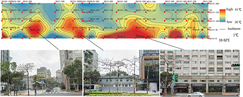 Figure 8. Vertical spatial temperature change map of detection points on the south side of a pedestrian walkway.