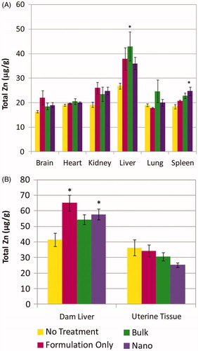 Figure 3. Concentrations of total Zn in (A) major organs of virgin mice and (B) livers and uterine tissue of pregnant mice receiving no treatment, or 1 day after receiving the last of six topical applications over 4 days of formulation only or sunscreens containing bulk or nanoparticles of 68ZnO. *Significantly different from no treatment.