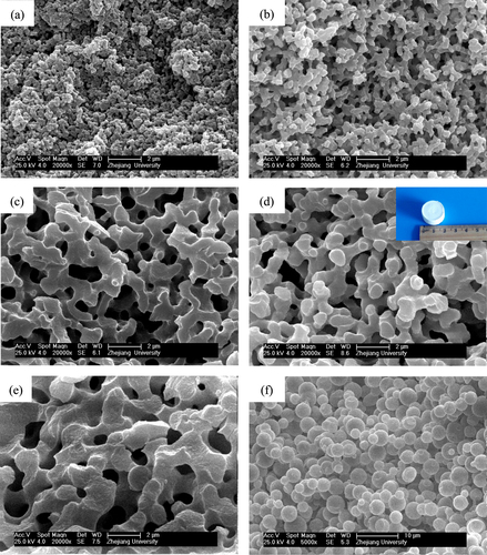Figure 2. SEM images of dried ZrO2 gels prepared with various WPEO: (a) 0.060 g (P5), (b) 0.075 g (P6), (c) 0.090 g (P7), (d) 0.105 g (P8), (e) 0.120 g (P9) and (f) 0.135 g (P10); the insect picture in (d) is the appearance of the dried monolith of the P8 sample.