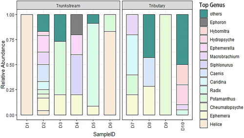 Figure 3. Morphological surveys on the genus level species composition of macroinvertebrates at various locations in the Dayang River.