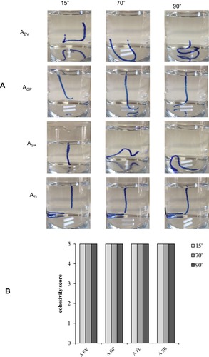 Figure 4 Results of the cohesivity test. (A) Representative images captured at diverse time points of the experimentation (15ʺ, 70ʺ and 90ʺ). (B) Cohesivity score attributed to the gels by four raters according to the Sundaram–Gavard scale.