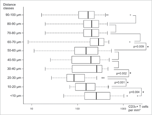 Figure 2. Boxplots of identified CD3 T cell densities in different distance classes of 36 patients. Statistically significant differences between adjacent distance classes are marked with asterisks (p values given for Kruskal–Wallis with post-hoc Mann–Whitney U tests).