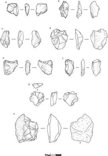 Figure 17. EDAR 135, upper level tools: (a–b) denticulates; (c–h) notches. Raw material: (a–g) quartz, (h) coarse-grained rhyolite. Drawings by M. Ehlert.