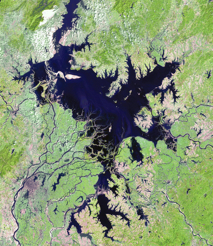 Figure 7.  Landsat TM image (bands 5,4, 3 = RGB) of Poyang Lake, taken on 23 September 2000. (Image courtesy of CEODE).