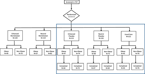 Figure 1 Consort diagram. Data from intervention groups included in blue box were included in the analysis of change in patient-reported outcome.