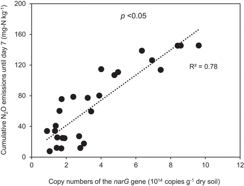 Figure 8. Relationship between cumulative N2O emissions until day 7 and copy numbers of the narG gene in Kochi soil treatments.