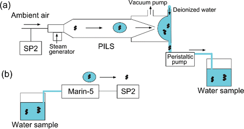 Figure 11. Experimental setup for measuring changes in the size distribution of BC particles during their collection by a particle-into-liquid sampler (PILS).