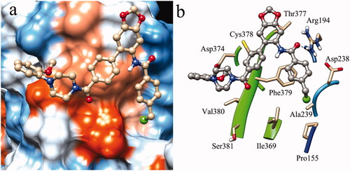 Figure 6. Molecular docking result of molecule B14 in the LDLR binding domain of PCSK9 (PDB entry: 3GCX). a: surface representation of molecule B14 in the binding site; b: binding pattern of molecule B14 with surrounding residues.