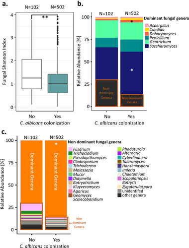 Figure 4. Comparison of the gut mycobiota of the Milieu intérieur subjects colonized by C. albicans with that of non-colonized Milieu Intérieur subjects. (a). Boxplot of the distribution of fungal Shannon index depending on C. albicans colonization state. (b). Barplot of the mean relative abundances of the fungal species that were detected in at least 50% of the studied healthy subjects with a relative abundance above 0.1%, depending on C. albicans colonization state. (c) Barplot of the mean relative abundances of the non-dominant fungal genera whose mean relative abundance, across subject, was above 0.1%, depending on C. albicans colonization state. Dominant genera are fungal genera detected in at least 50% of the studied healthy subjects with a relative abundance above 0.1%. Non-dominant genera are the remaining fungal genera. *p-value < .05, **p-value < .005.