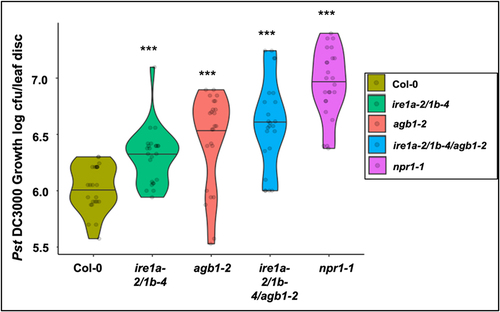 Figure 5. Bacterial infection with Pseudomonas syringae pv. tomato DC3000. Leaves of 4 weeks old plants of indicated genotypes were syringe infiltrated with the pathogen. In planta bacterial growth was quantified at 3 days post inoculation. The violin plots extend from 25th to 75th percentiles and whiskers extend from the minimum to the maximum levels. Light gray dots represent individual data points. Black lines in the middle represent the median. The data was generated from three independent biological replicates. Statistical analyses were performed in MS Excel by One-Way ANOVA. Significant differences in bacterial loads compared to Col-0 are indicated by asterisks (*** p < .001).