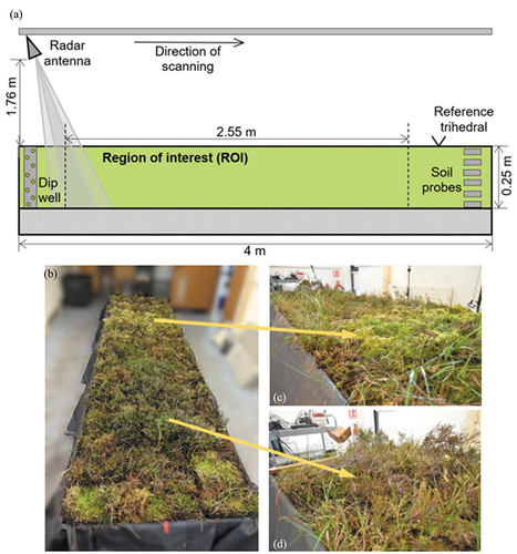 Figure 2. a) Schematic of the radar measurement system and experiment setup. The bog was surrounded on its bottom and sides by a waterproof butyl rubber liner and sat upon a stable bed of dry sand (25 cm deep). b) Photograph of the ‘Bog in the box’ laboratory setup. c) Sphagnum segment, representing predominantly moss vegetation. d) Ericaceous (heather) segment, representing moss layer covered with dwarf-shrub vegetation.