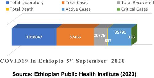 Figure 1 COVID-19 data in Ethiopia.