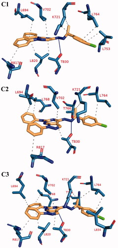 Figure 17. The 3 D interaction between compound 12 b and EGFR in each of the representative frame for each cluster. Amino acids are shown as blue sticks. compound 12 b is shown as brown sticks. Grey dashed lines: hydrophobic interaction. Blue solid lines: hydrogen bonds.