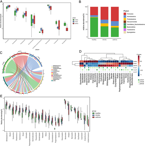 Figure 3 Fecal microbial abundance at the major phylum level and major genera in the gut microbiome of patients with allergic rhinitis, allergic asthma, and healthy subjects. (A) Bacterial composition and relative abundance at the phylum level. (B) Differences at the phylum level. (C) Major genera of each group, less abundant (<1%), and unclassified taxa are grouped as “other” (D) The 26 different genus profiles of average relative abundance across three groups. The dark green star indicates P<0.01, the light green star indicates P<0.05, and the gray star indicates P≥0.05. (E) The relative abundance of 26 genera abundant in three groups was exhibited with a box plot.