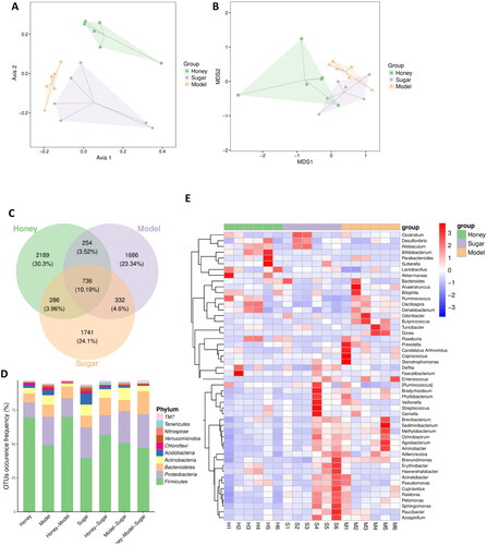 Figure 2. Honey restructures gut microbiota and microbial metabolites (A) principal component analysis (PCA) score plot; (B) non-metric multidimensional scaling; (C) Venn diagram of differential OTUs, OTU of gut microbiota in HFD, sugar, and honey groups of mice; (D) effects of different treatment on gut microbial structure at the phylum level of gut microbiota; (E) heatmap, by clustering, can distinguish between high-abundance and low-abundance OTUs, and reflect the difference in community composition between different groups of mice samples by color gradient.