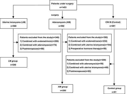 Figure 1 Study flow diagram.