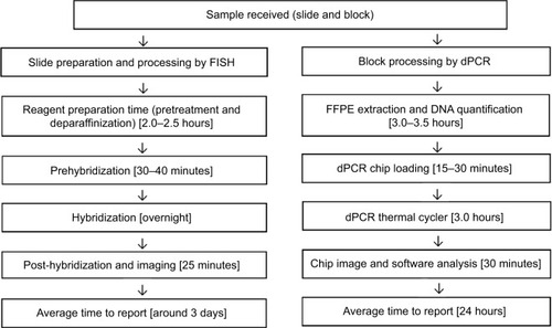 Figure 2 Comparison of processing time for FISH and dPCR.