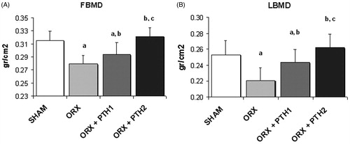 Figure 1. BMD (g/cm2) measured (A) in femur (FBMD) and (B) in lumbar vertebrae (LBMD); six-month-old male Wistar rats at the beginning of the study, distributed into four groups: Sham-operated rats (SHAM), castrated rats (orchidectomy: ORX), castrated rats treated for three months with PTH (1–84) 10 mg/kg/d (ORX + PTH1) and 50 mg/kg/d (ORX + PTH2), beginning three months after surgery. Data are expressed as mean + SD of 10 animals/group. Statistical significance p < 0.05: (a) versus SHAM; (b) versus ORX; and (c) versus ORX + PTH1.