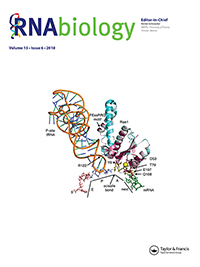 Cover image for RNA Biology, Volume 15, Issue 6, 2018