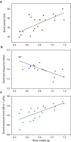 Figure 5. Relationship between body weight (BW) and sound characteristics in female T. schalleri. Regression equations (a) Burst period = 40.7 + BW *14.6. (b) Dominant frequency = 1.999 – BW*0.473. (c) Sound pressure level = 102 + BW*12.1.