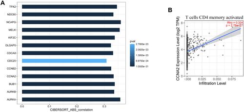 Figure 6 Validation of hub genes in TIMER database. (A) shows the relationship between the expression of the 13 hub genes and the level of memory-activated CD4 T cell infiltration. P≤0.05 was considered significant. (B) is a scatter plot of CCNA2 expression and memory-activated CD4 T cell infiltration level.