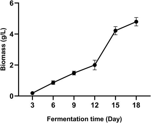 Figure 5. The biomass of mycelia during the fermentation of S. baumii.