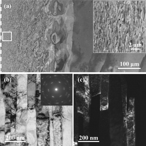 Figure 1. (a) Cross-sectional SEM image of the SMRT sample, with a magnified view of the boxed region shown by the inset. Cross-sectional (b) bright- and (c) dark-field TEM images of the near-surface layer. The inset in (b) shows the corresponding selected-area electron diffraction pattern. The dashed line in (a) marks the SMRT surface.