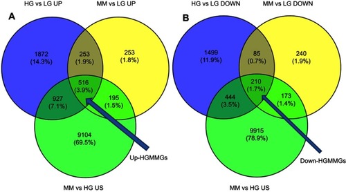 Figure 1 Transcriptome comparisons of the HG, LG, and MM groups. (A) up-HGMMGs (HG vs LG and MM vs LG comparisons were performed for up-regulated expression, and an HG vs MM comparison was performed for non-significant differential expression) (B) down-HGMMGs (HG vs LG and MM vs LG comparisons were performed for down-regulated expression, and an HG vs MM comparison was performed for non-significant differential expression).