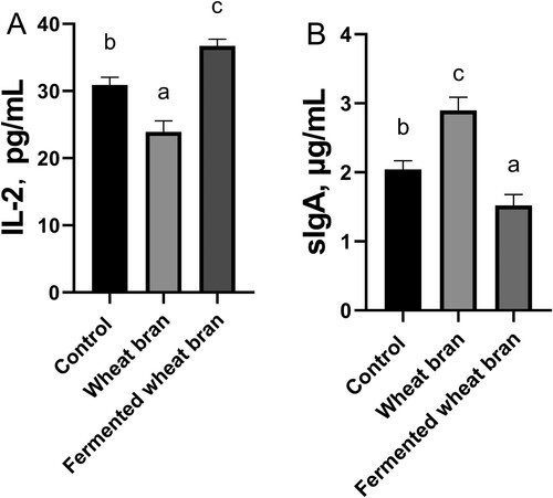 Figure 2. Effects of wheat bran and fermented wheat bran on IL-2(A) and sIgA(B) contents of jejunal mucosa of laying hens. abc Means among without the same letter are significantly different(P < 0.05). Values are expressed as the mean ± SE (n = 5). IL-2,interleukin-2; sIgA,secretory immunoglobulin A.