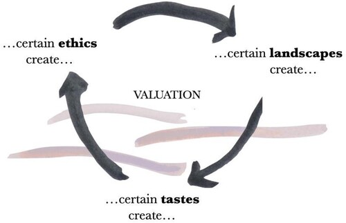 Figure 1. Interlinking landscape care, taste, ethics, and value.