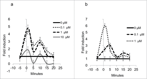 Figure 2. (a) Expression levels for Hsd1 in 3T3-L1 adipocytes. Lines show the relative expression behavior of mRNA during the first 20 min of the experiment for treatments with 0 μM (continuous line), 0.1 μM (dotted line), 1 μM (dashed line), and 10 μM (double line) cortisone, P < 0.05. (b) Expression levels for Aqp7 in 3T3-L1 adipocytes. Lines show the relative expression behavior of mRNA during the first 20 min for treatments with 0μM (continuous line), 0.1 μM (dotted line), and 1μM (double line). Data for 10 μM are not shown. All error bars represent ± SEM, P < 0.05 (n = 3).