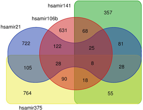 Figure 1 Venn diagram depicting common and specific protein-coding targets of the four analyzed miRNAs.