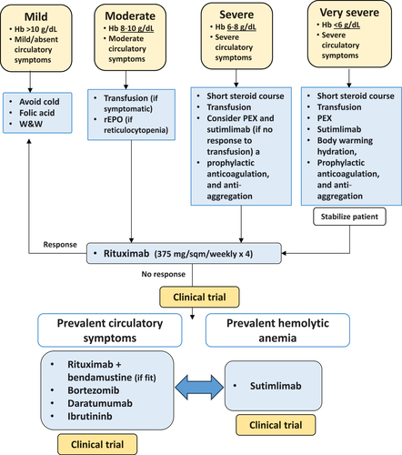 Figure 2. Therapeutic algorithm for cold agglutinin disease (CAD) depending on the severity of clinical presentation and prevalent symptoms.