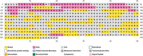 Figure 4. Predicted secondary structure of vaccine construct by PsiPred 2.0.