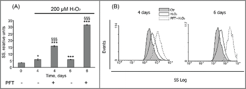 Figure 9. PFT promoted an internal granularity increase in H2O2-treated hMESCs. (A) Cells were treated as indicated in legend to Figure 8. Cell granularity was determined at indicated time points as the side scatter (SS) alterations. M ± SD, N = 3, *p<0.05, §§§ p<0.005, versus control, §§§p<0.005, versus H2O2-treated cells. Ctr – control. (B) Typical presentation of SS, reflecting the internal granularity of the cells. Data were obtained by light-scattering cytometry with using Win MDI program version 2.8.