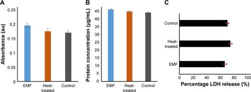 Figure 6 PC 12 cells response to EMF radiation.Notes: (A) Metabolic activity (MTS). (B) Total protein concentration (BCA) of PC 12 cells. The metabolic activity of PC 12 cells in response to EMF radiation appeared to be slightly higher than the heat-treated and the control samples but there is no statistically significant difference (P>0.05) in the absorbance values recorded for the EMF and the control. No significant change in protein concentration was detected in the EMF-treated groups, the heat-treated, and the control groups. (C) LDH release by PC 12 cells. The degree of LDH release of the EMF-treated and the other groups did not display any significant differences. Data are expressed as mean ± SD and are representative of three independent experiments (P>0.05).Abbreviations: EMF, electromagnetic field; BCA, bicinchoninic acid protein assay; LDH, lactate dehydrogenase.