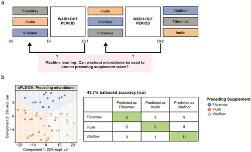 Figure 3. Stools were collected before and one-week following consumption of either Fibremax, Inulin or Vitafiber and 16S rRNA gene sequencing was performed to analyze gut microbiota composition. (a) schematic highlighting the supervised machine learning approach to determine if a two-week washout period is sufficient to reset the gut microbiome (b) scatter plot of sPLS-DA analysis illustrating the predicted gut microbiome composition of pre-supplement samples (left) and confusion matrix outlining the performance of the prediction model (right) and loading plots indicating the ASV contributing to the sPLS-DA model (left).