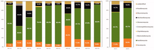 Figure 2. Soil fungal composition of each sample at the phylum level.