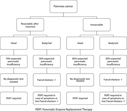Figure 2: Pragmatic approach to testing and treating pancreatic exocrine insufficiency (PEI) in patients with pancreatic cancer1.